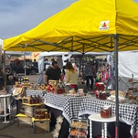 Anthem Art Craft Show 2024